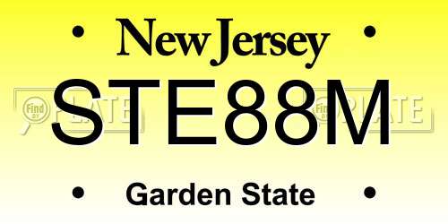 STE88M New Jersey License Plate
