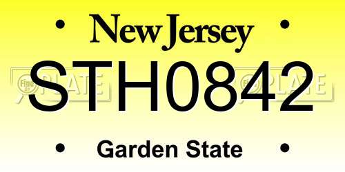 STH0842 New Jersey License Plate