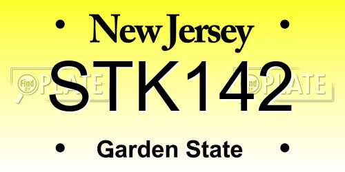 STK142 New Jersey License Plate