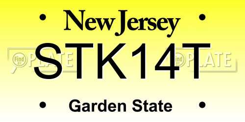 STK14T New Jersey License Plate