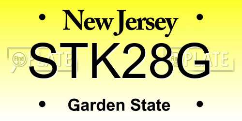 STK28G New Jersey License Plate
