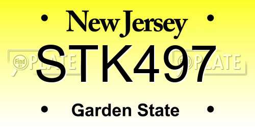 STK497 New Jersey License Plate