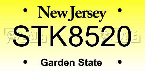STK8520 New Jersey License Plate