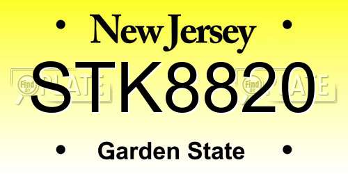 STK8820 New Jersey License Plate