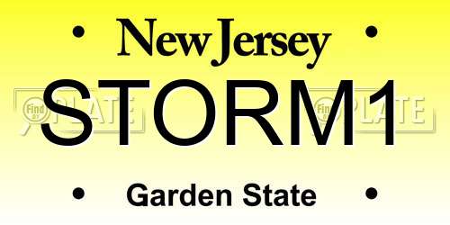 STORM1 New Jersey License Plate