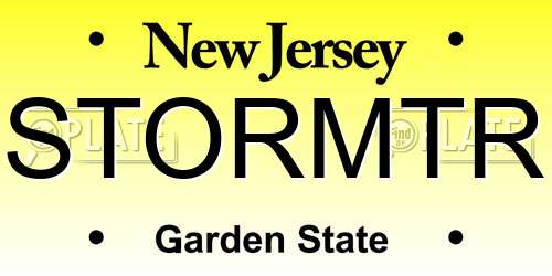 STORMTR New Jersey License Plate