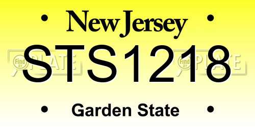 STS1218 New Jersey License Plate