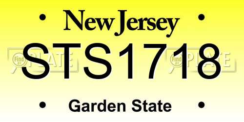 STS1718 New Jersey License Plate
