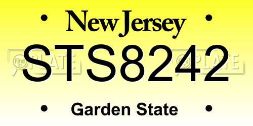 STS8242 New Jersey License Plate