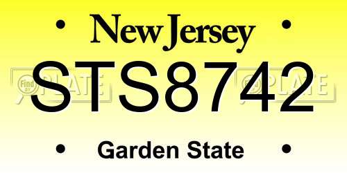 STS8742 New Jersey License Plate