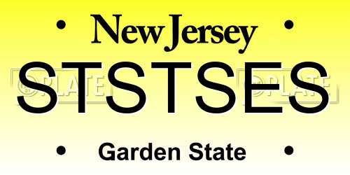 STSTSES New Jersey License Plate