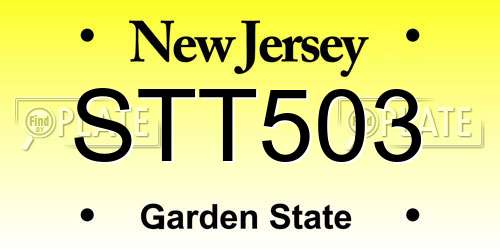 STT503 New Jersey License Plate