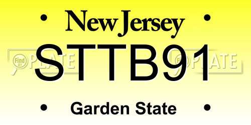 STTB91 New Jersey License Plate