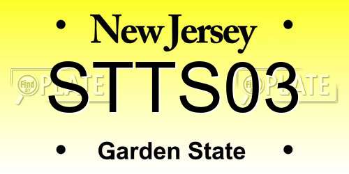 STTS03 New Jersey License Plate