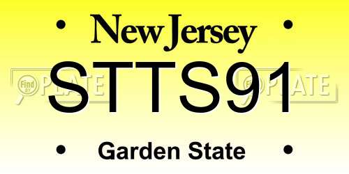 STTS91 New Jersey License Plate