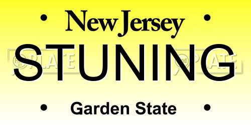 STUNING New Jersey License Plate
