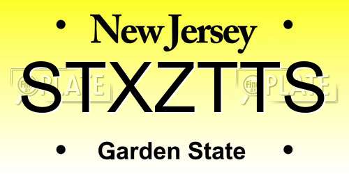 STXZTTS New Jersey License Plate