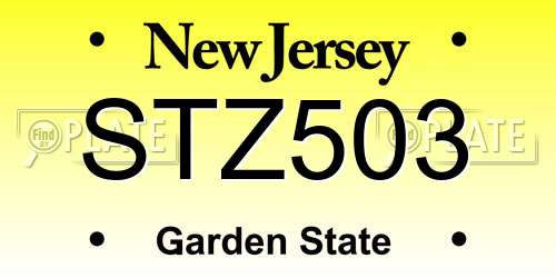 STZ503 New Jersey License Plate