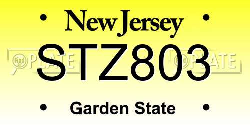 STZ803 New Jersey License Plate