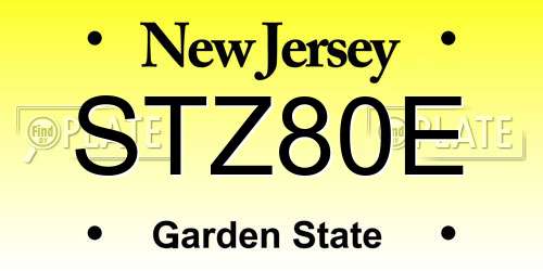 STZ80E New Jersey License Plate