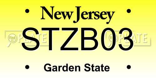 STZB03 New Jersey License Plate