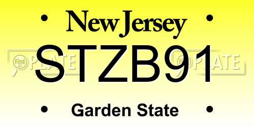 STZB91 New Jersey License Plate