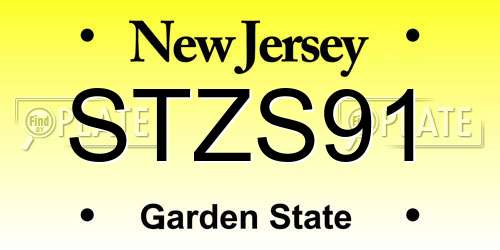 STZS91 New Jersey License Plate