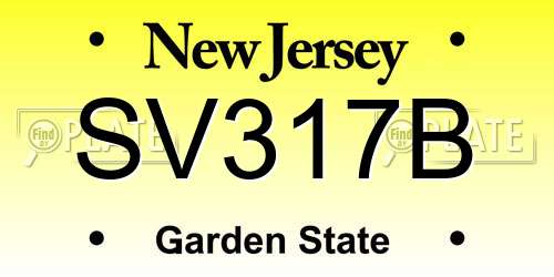 SV317B New Jersey License Plate