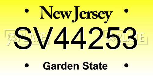 SV44253 New Jersey License Plate