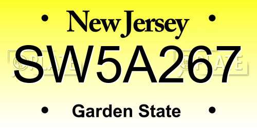 SW5A267 New Jersey License Plate