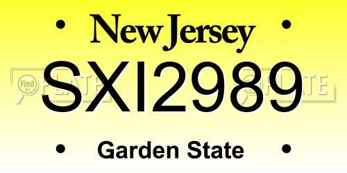 SXI2989 New Jersey License Plate