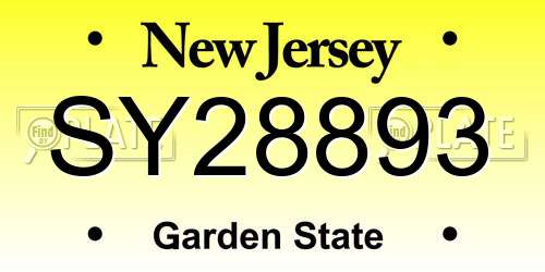 SY28893 New Jersey License Plate