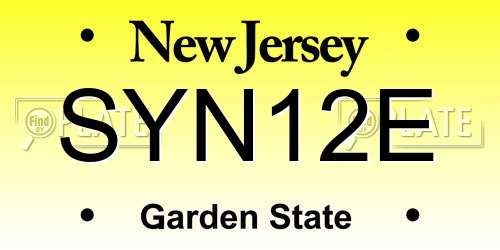 SYN12E New Jersey License Plate