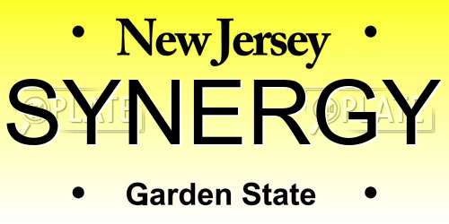 SYNERGY New Jersey License Plate