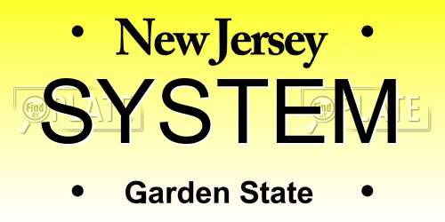 SYSTEM New Jersey License Plate