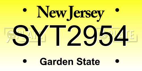 SYT2954 New Jersey License Plate