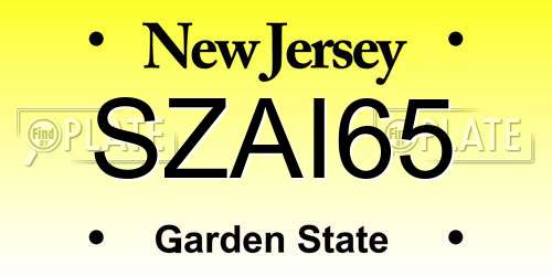 SZAI65 New Jersey License Plate