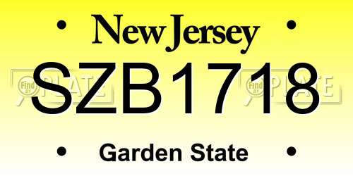 SZB1718 New Jersey License Plate