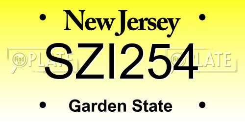 SZI254 New Jersey License Plate