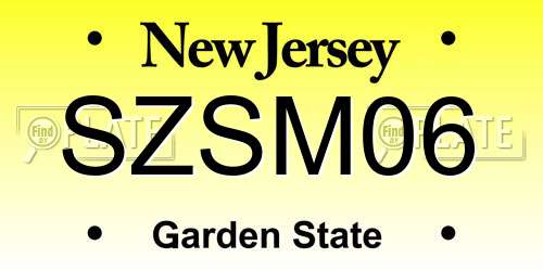 SZSM06 New Jersey License Plate