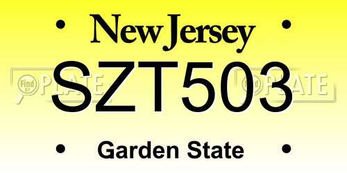 SZT503 New Jersey License Plate