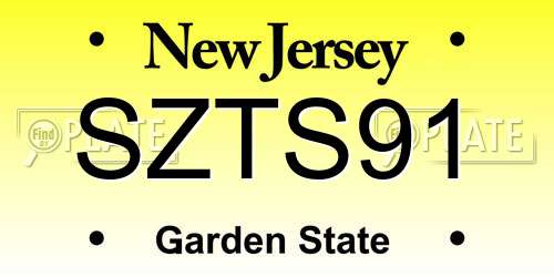 SZTS91 New Jersey License Plate