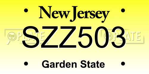 SZZ503 New Jersey License Plate