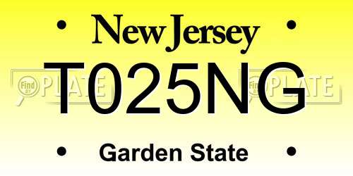 T025NG New Jersey License Plate