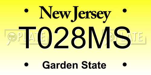 T028MS New Jersey License Plate