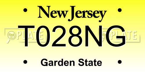 T028NG New Jersey License Plate