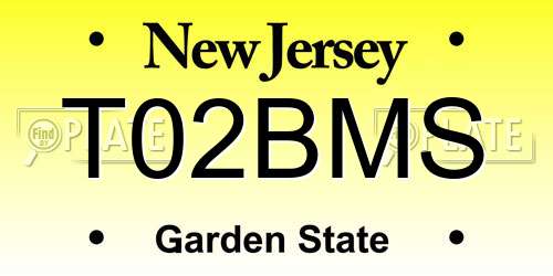 T02BMS New Jersey License Plate