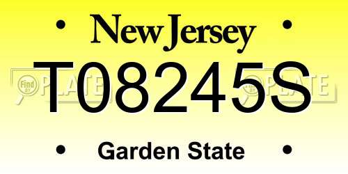 T08245S New Jersey License Plate