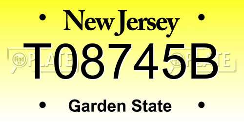 T08745B New Jersey License Plate