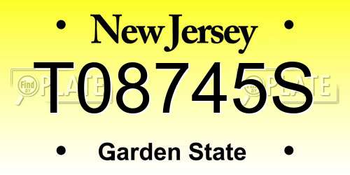 T08745S New Jersey License Plate